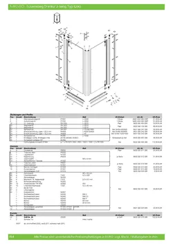 5290 Eckeinstieg mit Drehpunkttür pendelbar 2-tlg. 20.01.2026