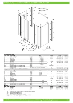 Pendeltür mit 2 Seitenwänden (U-Kabine) 20.01.2026