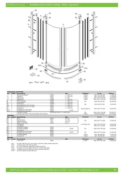 Runddusche mit Drehtür pendelbar 2-tlg. 11.11.2025
